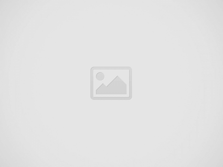Nueva función en Telegram llamada canales